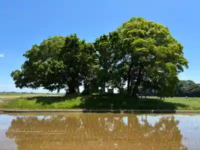 神明神社(千葉県)