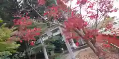 稗田野神社(薭田野神社)の鳥居