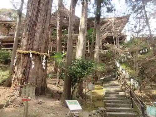 石山寺(滋賀県)