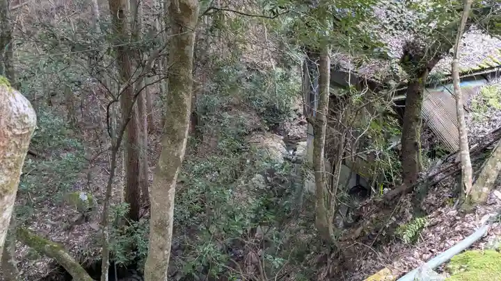 大師寺の自然