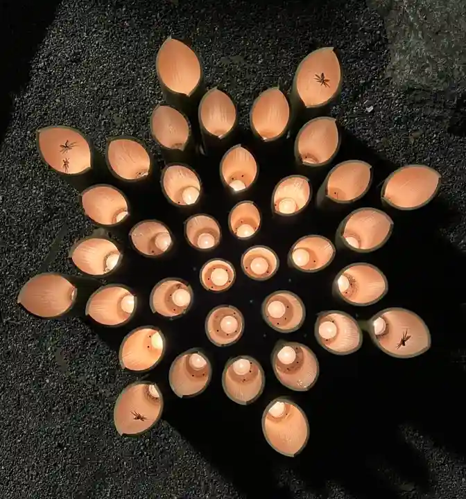 東寺(教王護国寺)(京都府)