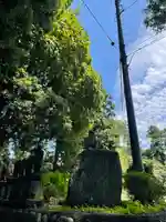 竜鳳寺(神奈川県)