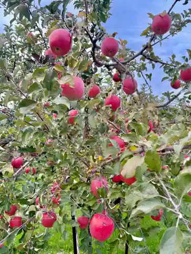蚊里田八幡宮(長野県)
