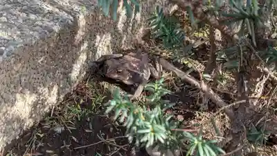 天暁山 一行院(東京都)