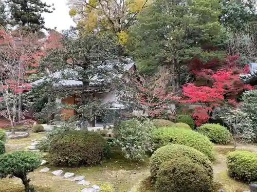 隨心院（随心院）(京都府)