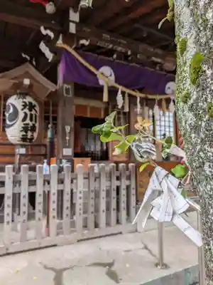 本郷氷川神社(東京都)