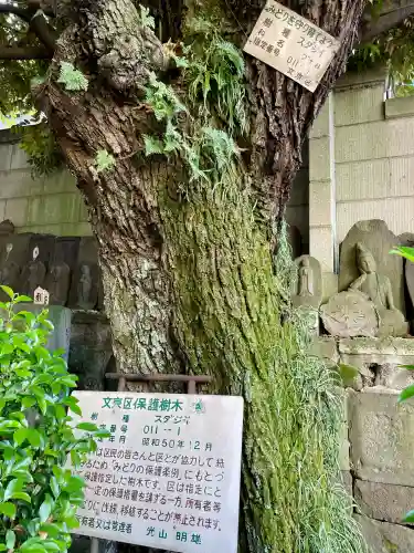 善雄寺(東京都)
