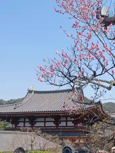 平等院(京都府)