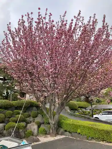 保井寺(東京都)