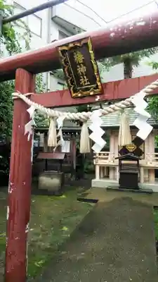 椿神社の鳥居