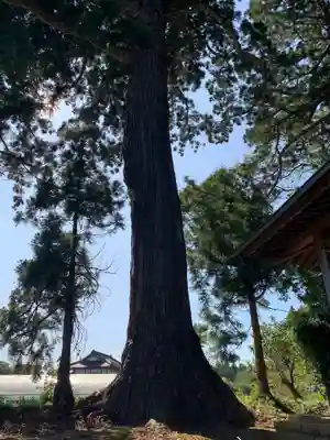 妙見神社(千葉県)