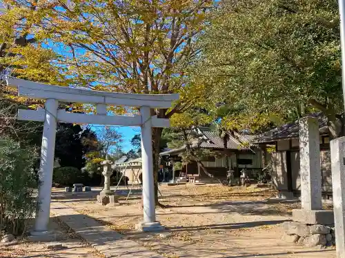 今城青坂稲実池上神社の鳥居