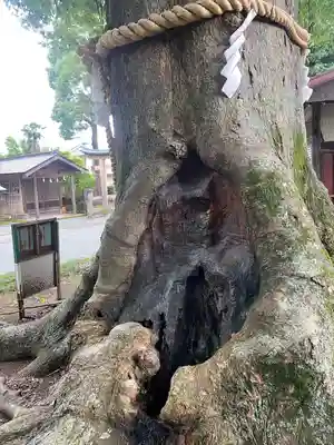 八坂神社(神奈川県)