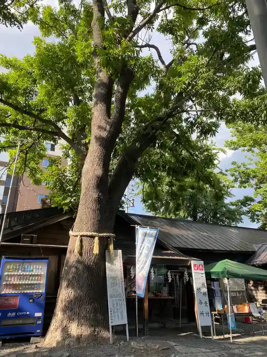 札幌諏訪神社のその他建物