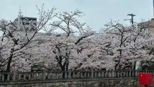 天孫神社の{uncategorized: "未分類", other: "その他", undefined: "問題あり", building: "その他建物", grave: "お墓", sacred_gate: "鳥居", guardian: "狛犬", statue: "像", buddha: "仏像", history: "歴史", nature: "自然", garden: "庭園", animal: "動物", pagoda: "塔", temizu: "手水舎", mountain_gate: "山門・神門", sanctuary: "本殿・本堂", subordinate: "末社・摂社", art: "芸術", scenery: "景色", jizo: "地蔵", ema: "絵馬", goshuin: "御朱印", omikuji: "おみくじ", items: "授与品その他", amulet: "お守り", goshuincho: "御朱印帳", eats: "食事", festival: "お祭り", votive_dance: "神楽", shichigosan: "七五三参", wedding: "結婚式", experience: "体験その他", initially: "初詣", around: "周辺", anti_infection: "感染症対策"}