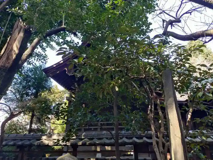 大森山王日枝神社(東京都)