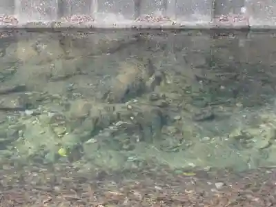 伊野天照皇大神宮のその他建物