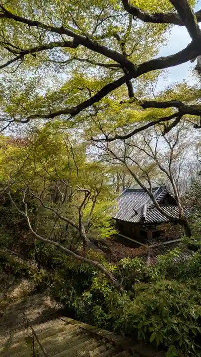 観音寺(山崎聖天)(京都府)
