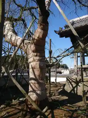 宿縁寺の自然