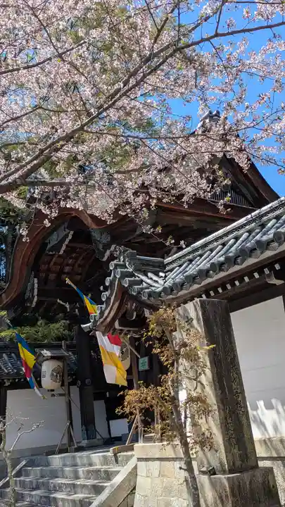 西教寺(滋賀県)