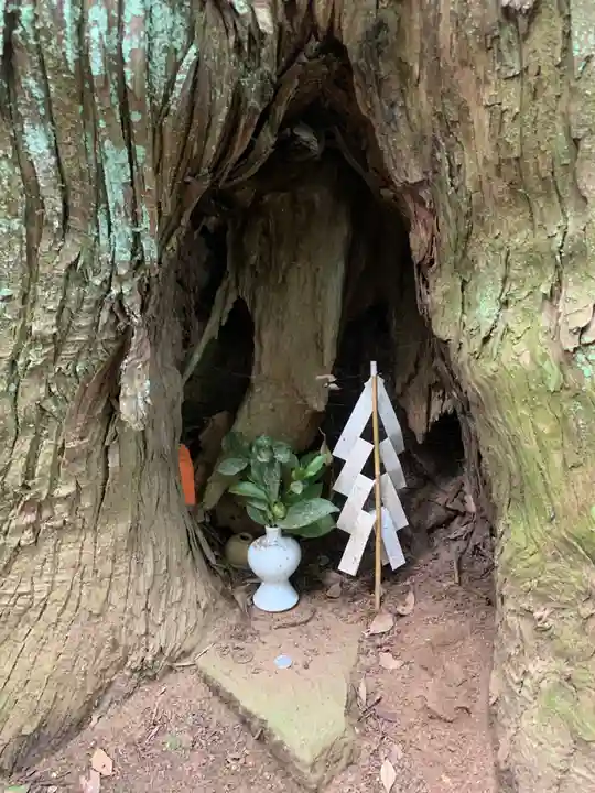 日吉神社(千葉県)