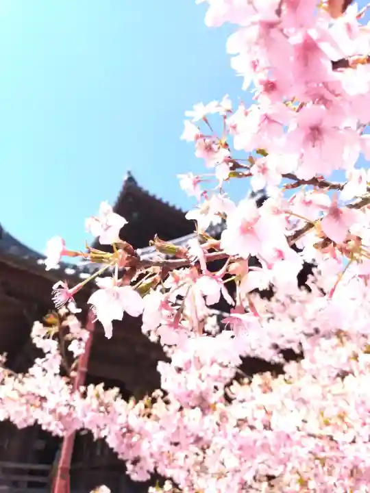 粉河寺の{uncategorized: "未分類", other: "その他", undefined: "問題あり", building: "その他建物", grave: "お墓", sacred_gate: "鳥居", guardian: "狛犬", statue: "像", buddha: "仏像", history: "歴史", nature: "自然", garden: "庭園", animal: "動物", pagoda: "塔", temizu: "手水舎", mountain_gate: "山門・神門", sanctuary: "本殿・本堂", subordinate: "末社・摂社", art: "芸術", scenery: "景色", jizo: "地蔵", ema: "絵馬", goshuin: "御朱印", omikuji: "おみくじ", items: "授与品その他", amulet: "お守り", goshuincho: "御朱印帳", eats: "食事", festival: "お祭り", votive_dance: "神楽", shichigosan: "七五三参", wedding: "結婚式", experience: "体験その他", initially: "初詣", around: "周辺", anti_infection: "感染症対策"}