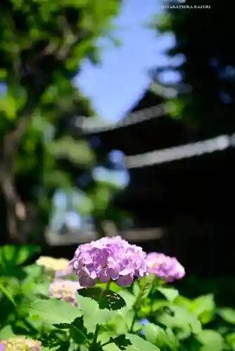 白山神社(東京都)