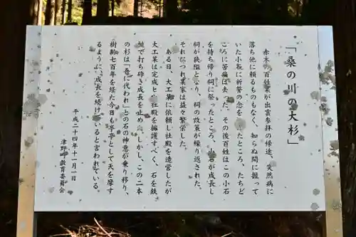 三所神社（桑の川の大杉）(高知県)