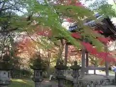 西明寺(京都府)