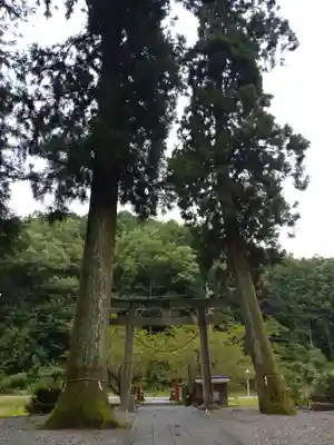 七社神明神社の自然
