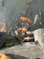 伊佐須美神社(福島県)