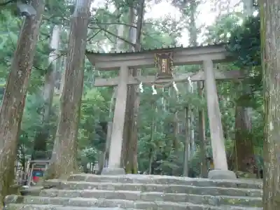 飛瀧神社(熊野那智大社別宮)(和歌山県)