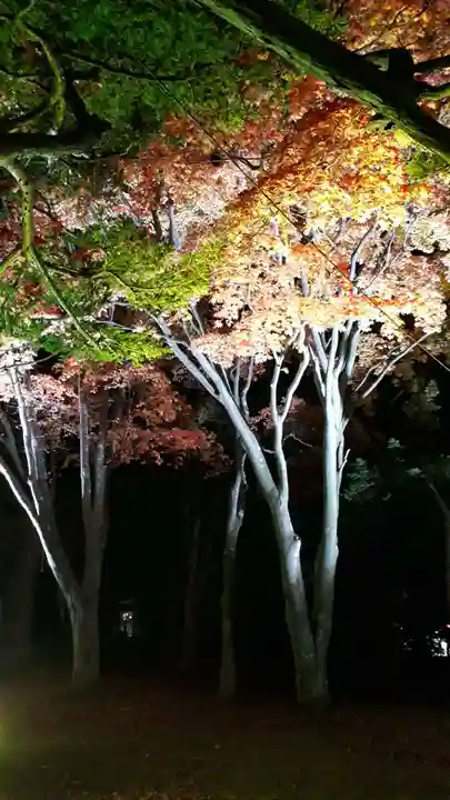 北広島市総鎮守 廣島神社のお祭り