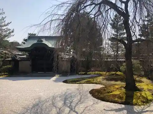 高台寺（高台寿聖禅寺・高臺寺）(京都府)