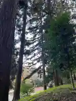 大宮温泉神社(栃木県)