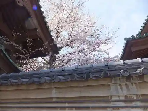 湯島聖堂のその他建物