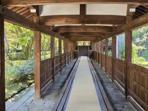 真正極楽寺（真如堂）(京都府)