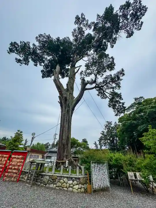 矢奈比賣神社(見付天神)(静岡県)