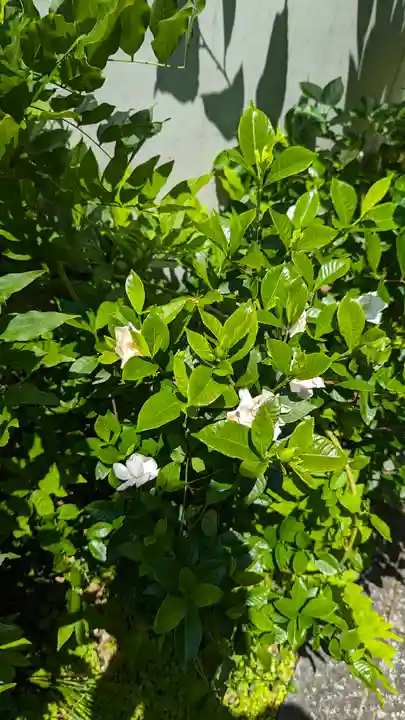 尊陽院(京都府)