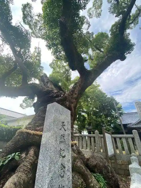 老松神社(山口県)