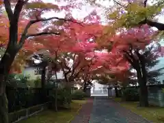 正樂寺(宮城県)