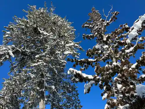 上杉神社の自然