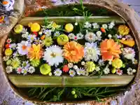 立志神社の手水舎