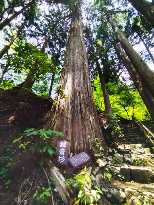 瑠璃寺(兵庫県)