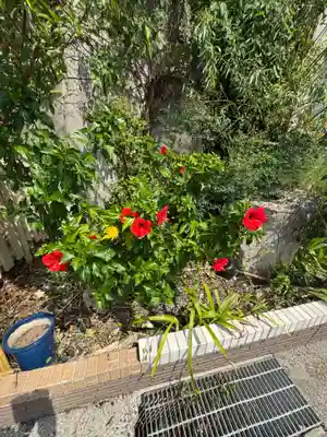 天神社(愛知県)