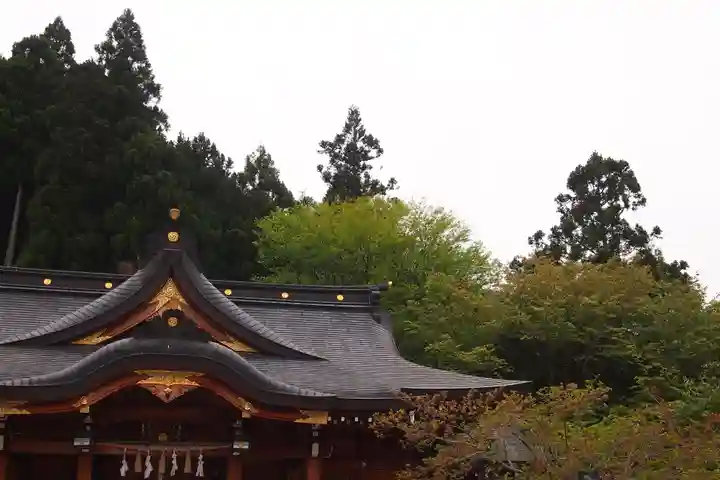 丹生川上神社(上社)(奈良県)