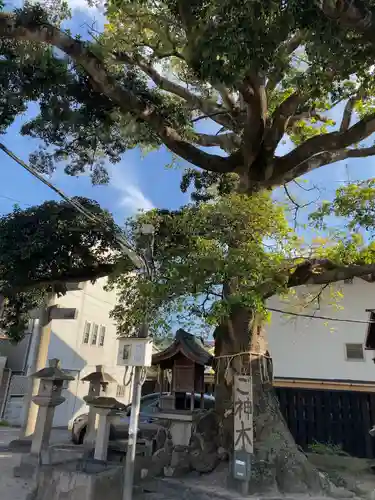 櫟谷七野神社(京都府)