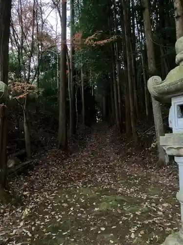 川崎神社の自然