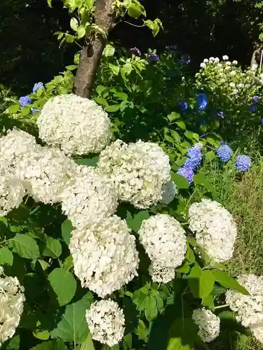 本土寺(千葉県)