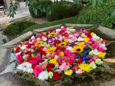 大谷本廟の手水舎